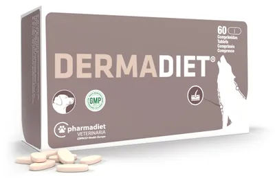 Obrázek produktu pro Dermadite Zinek 60Cpd