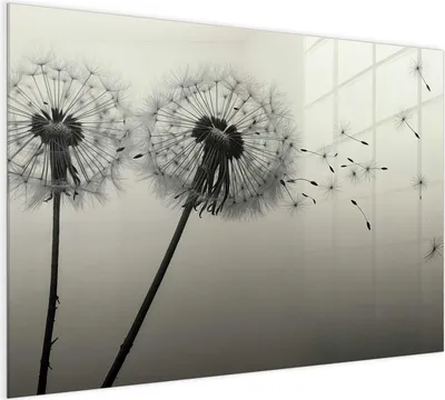 Produktbild von Magnettafel 120x90cm Pinnwand Whiteboard beschreibbar - Pusteblume Schwarz