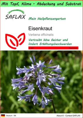 Produktbild von SAFLAX Garden to go - Eisenkraut - Verbena officinalis - 250 Samen - Mit Topf, Klima - Deckel und Anzuchtsubstrat