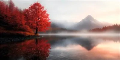 Produktbild von Leinwandbild Landscape In The Morning Mist II 100x50 cm