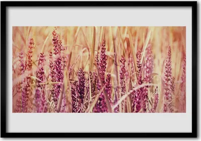 Produktbild von Bild 100x70 MDF-Rahmen Wandkunst Weizenpflanze Natur