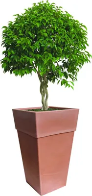 Obrázok produktu pre BAMA Kvetináč SENSATIONE 50 cm, terakota