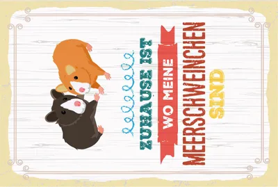 Produktbild von vianmo Blechschild 18x12 cm Zuhause ist wo meine Meerschweinchen sind