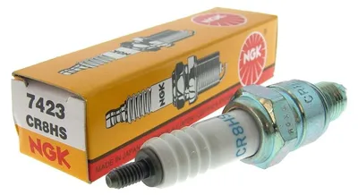 Immagine prodotto di Candela NGK CR8HS 11110-Greenstar