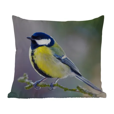 Obrázek produktu pro MuchoWow® Vnější polštář - Sýkora koňadra - Pták - Větev -40x40 cm- Odolnost proti povětrnostním vlivům - polštář do obývacího pokoje