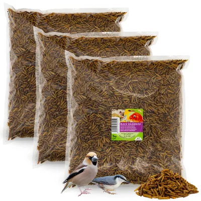 Produktbild von UGF Soldatenfliegenlarven BSF 3 x 1kg, Vogelhauptfutter, Snacks für Schildkröten, Igel, Hamster und Ratten, proteinreich, mehr Kalzium als Mehlwürmer