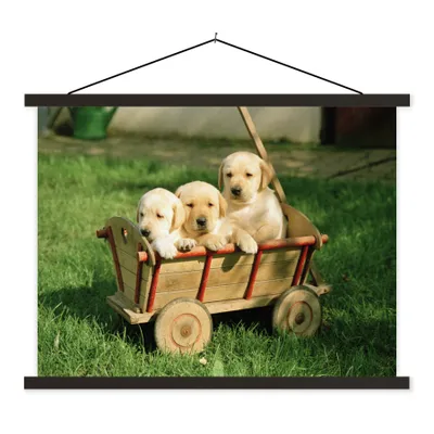Produktbild von MuchoWow® Textilposter Drei entzückende Golden Retriever Welpen in einem Wagen 150x113 cm mit schwarzem Rahmen - Wohnzimmer