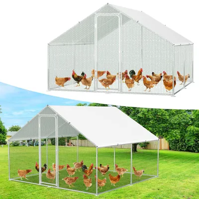 Image de Peviasot : Poulailler avec enclos extérieur de 3x3x2 mètres. Poulailler, abri pour petits animaux, enclos pour petits animaux, volière, enclos ouvert, cage à poules, bâtiment pour volailles. Structure en acier galvanisé avec toit