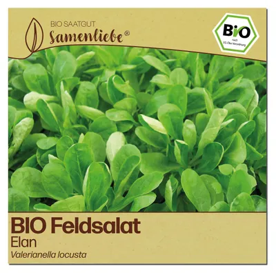 Produktbild von Samenliebe  Feldsalat Samen | Elan - großblättrig & winterhart - samenfestes  Saatgut