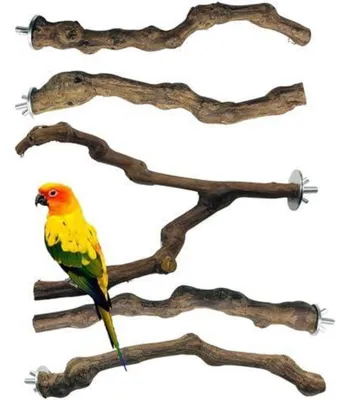 Image de Perchoirs pour oiseaux, bois naturel, lot de 5. Bâtonnets en forme de grappe, balançoire pour perroquets, jouet, longueur 23-30 cm