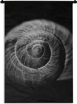 Produktbild von MuchoWow® Wandteppich Wandbehang Schnecke - Tiere - Schwarz - Weiß - Schneckenhaus 60x90 cm Tapisserie Dekoration Wandtuch - Foto-Teppich - Abwaschbar
