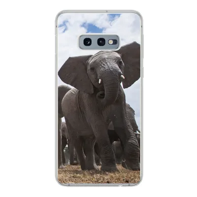 Produktbild von MuchoWow® Handyhülle Schutzhülle Hülle für Samsung Galaxy S10e Elefant - Tiere - Natur - Flachland Silikon Softcase Handy Hülle - Handy
