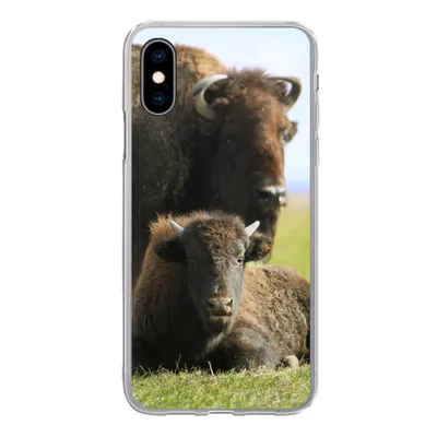 Produktbild von MuchoWow® Handyhülle Schutzhülle Hülle für iPhone X Büffel - Gras - Kalb Silikon Softcase Handy Hülle - Handyhülle