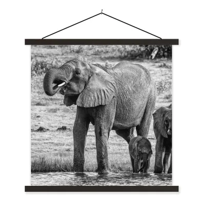Produktbild von MuchoWow® Textilposter Elefant - Wasser - Tiere - Schwarz - Weiß 120x120 cm mit schwarzem Rahmen - Aufhängungsset