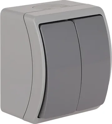 Image de Interrupteur mural double 2 voies apparent pour extérieur et pièces humides gris IP44