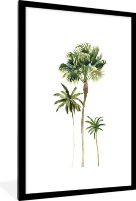 Produktbild von MuchoWow® Gerahmtes Poster Dschungel - Palme - Weiß 60x90 cm - Poster mit Schwarzem Bilderrahmen Wandposter Rahmen Foto Bilder - Dekoration - Wandposter Wohnzimmer - Hochwertig