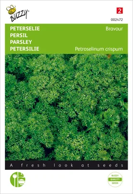 Produktbild von Petersilie Bravour | Petersiliensamen von Buzzy Seeds