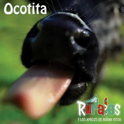 Obrázok produktu pre Ocotita -   - (CD / Titel: A-G)
