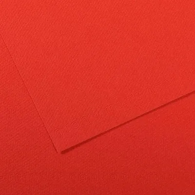 Zdjęcie produktu dla Canson Mi-Teintes 50x65 cm Coquelicot 506 160 g Papier kolorowy