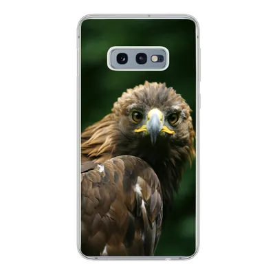 Produktbild von MuchoWow® Handyhülle Schutzhülle Hülle für Samsung Galaxy S10e Adler - Braun - Raubvogel Silikon Softcase Handy Hülle - Handy