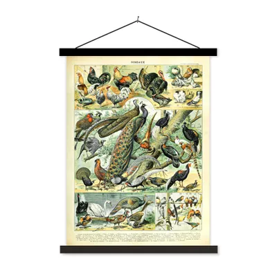Produktbild von MuchoWow® Textilposter Tiere - Vögel - Jahrgang 90x120 cm mit schwarzem Rahmen - Dekoration