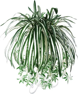 Produktbild von 1pc künstliche Pflanze Chlorophytum Blumenanordnung Wand Hanging Dekoration