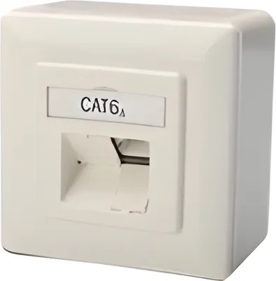 Immagine prodotto di DIGITUS Aufputzdose Cat6a 2xRJ45 geschirmt Signalweiß