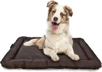 Immagine prodotto di Cuscino per cani Lazy Bag Premium, colore marrone (60x40 cm) – Cuccia di alta qualità per cani di piccola taglia, con rivestimento removibile, facile da pulire e lavabile