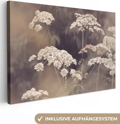 Produktbild von OneMillionCanvasses® - Leinwandbilder - 140x90 cm, Pflanze - Weiß - Natur - Blumen, Wandbilder Kunstdruck Wanddekoration - Foto auf Leinwand - Gemälde auf Holzrahmen