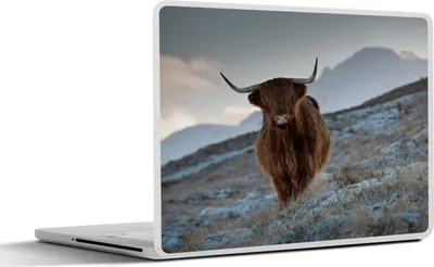 Produktbild von MuchoWow® Laptop Aufkleber Sticker Cover Schottisches Hochlandrind - Landschaft - Schottland 30x22 cm - Laptop-Sticker