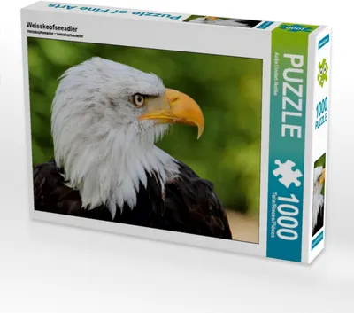 Produktbild von Calvendo Weisskopfseeadler 1000 Teile Puzzle quer 640x480mm, Lindert-Rottke Antje; 7334931
