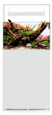 Productafbeelding van Aquael Ultrascape 60 | 65L | 60 x 30 x 36CM Snow Set