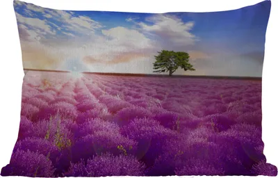 Produktbild von MuchoWow® Outdoor Kissen - Lavendel - Baum - Sonnenuntergang - Lila - 50x30 cm - Wetterfest - Lounge Kissen - Sofa kissen - Wohnzimmer Dekoration