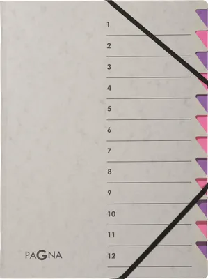 Image de PAGNA Classeur "Easy Grey" DIN A4 12 compartiments violet