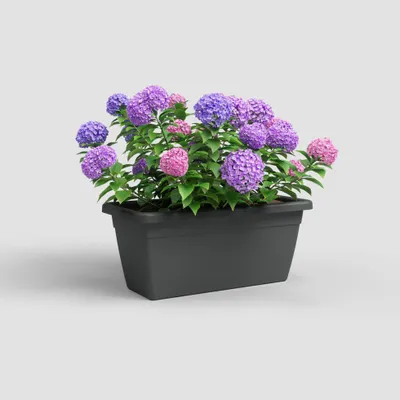 Produktbild von Artevasi Venezia Xl Plant Box, Anthrazit, 64,7 l, 390 mm, 800 mm, 345 mm, 2 Stück(e)