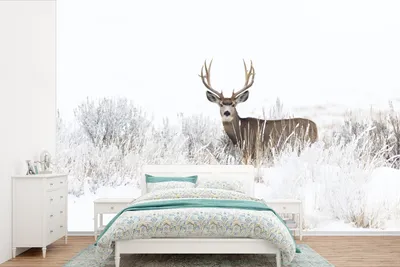 Produktbild von MuchoWow® Fototapete für Wohnzimmer oder Schlafzimmer Wandtapete Vinyl Motivtapete Hirsche - Winter - Schnee - Tiere - Jahreszeiten - Weiß - 360x240 cm - Vinyl-Tapete