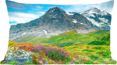 Produktbild von MuchoWow® Zierkissen Sofakissen Wohnzimmer Dekokissen 50x30 cm Blumen - Berge - Schnee - Landschaft - Wohnzimmerdekoration - Polster mit Photo