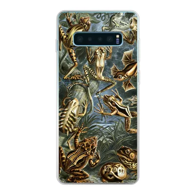 Produktbild von MuchoWow® Handyhülle Schutzhülle Hülle für Samsung Galaxy S10 Plus Batrachia - Haeckel - Alte Meister Silikon Softcase Handy Hülle - Schutzhülle