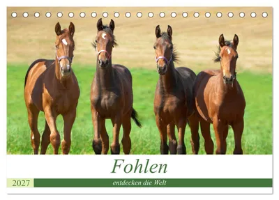 Produktbild von Fohlen entdecken die Welt (Tischkalender 2027 DIN A5 quer), CALVENDO Monatskalender
