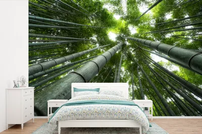 Produktbild von MuchoWow® Fototapete für Wohnzimmer oder Schlafzimmer Wandtapete Vinyl Motivtapete Wipfel des Waldes - 450x300 cm - Gemusterte