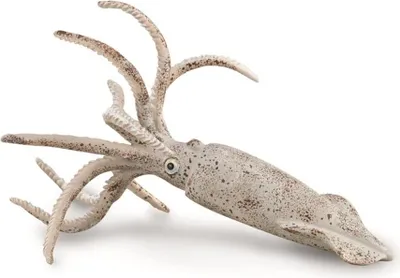 Obrázek produktu pro CollectA Belemnite sběratelská figurka hračky COLECTA