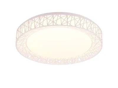 Obrázek produktu pro TRIO Reality R67321101 CLUSTER stropné svietidlo SMD LED D480mm 40W/4300lm 2700-6500K biela, stmievate?né, dia?kový ovláda?