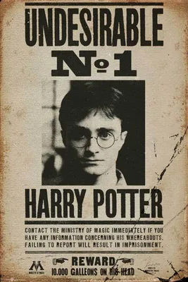 Produktbild von Harry Potter - Poster - Undesirable No 1