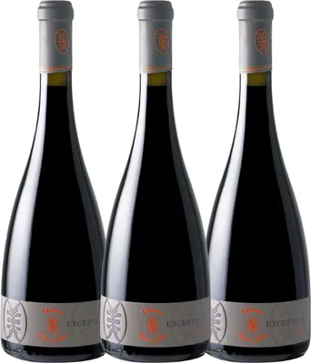 Produktbild von set of 3 Château Saint-Julien Rouge Ð Cuvée Exception 2017 - 14¡ - 3x75cL