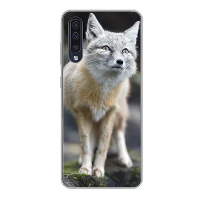 Produktbild von MuchoWow® Handyhülle Schutzhülle Hülle für Samsung Galaxy A50 Fuchs - Makro - Baum Silikon Softcase Handy Hülle - Mobiltelefonhülle