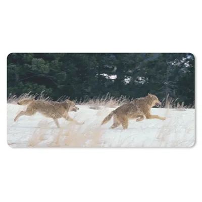 Produktbild von MuchoWow® Schreibtischunterlage Wolf - Baum - Tiere 80x40 cm - XXL Mauspad - Gaming Mauspad