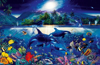 Produktbild von XXL Poster Unterwasser Wale und Fische im Meer ideal auch für Kinder