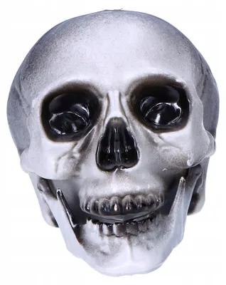 Obrázek produktu pro Fiestas Guirca Strašidelná Lebka Dekorace Halloween Plast 20cm