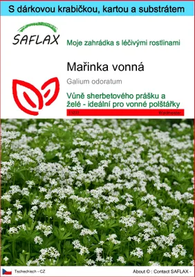Obrázek produktu pro SAFLAX Dárková sada - mařinka vonná - Galium odoratum - 20 Semena - S dárkovou krabičkou, přepravním štítkem, dárkovou kartou a pěstebním médiem