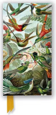Imagen del producto de Ernst Haeckel: Colibríes (Cuaderno delgado con cubierta rígida)